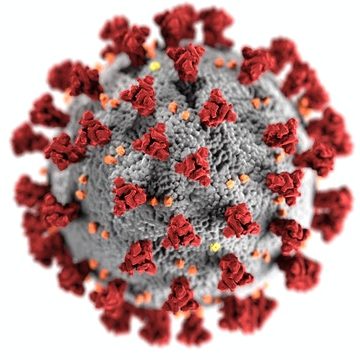 HPV Virus